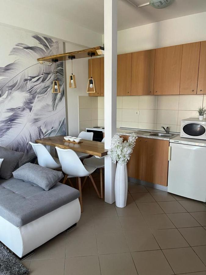 Apartman Lukic Banja Koviljača Εξωτερικό φωτογραφία