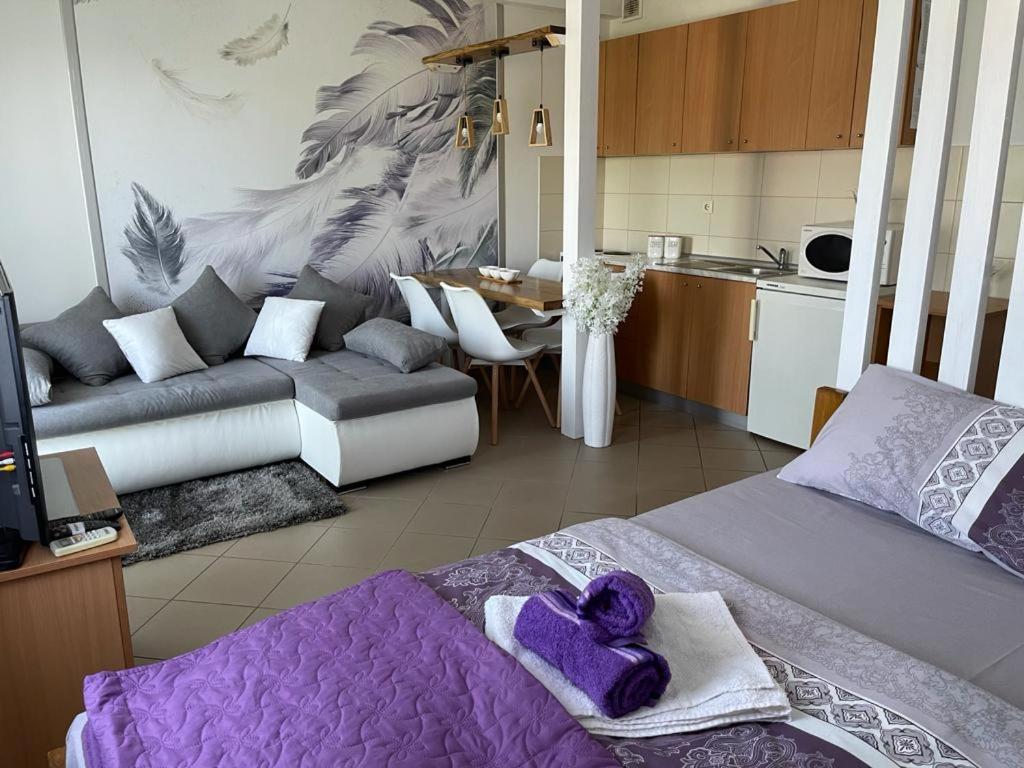 Apartman Lukic Banja Koviljača Εξωτερικό φωτογραφία