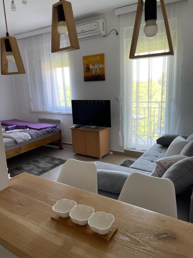 Apartman Lukic Banja Koviljača Εξωτερικό φωτογραφία