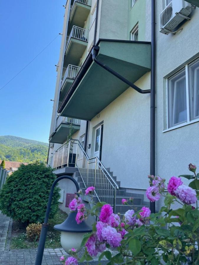 Apartman Lukic Banja Koviljača Εξωτερικό φωτογραφία