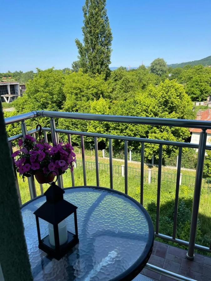 Apartman Lukic Banja Koviljača Εξωτερικό φωτογραφία